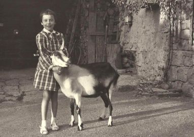 Histoire du Mas de la Bastide à Joyeuse