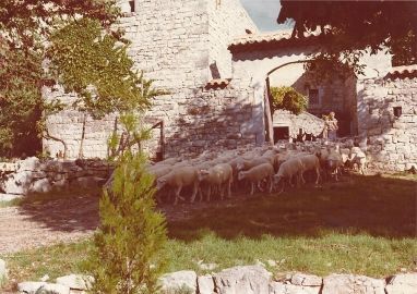 Histoire du Mas de la Bastide en Ardèche